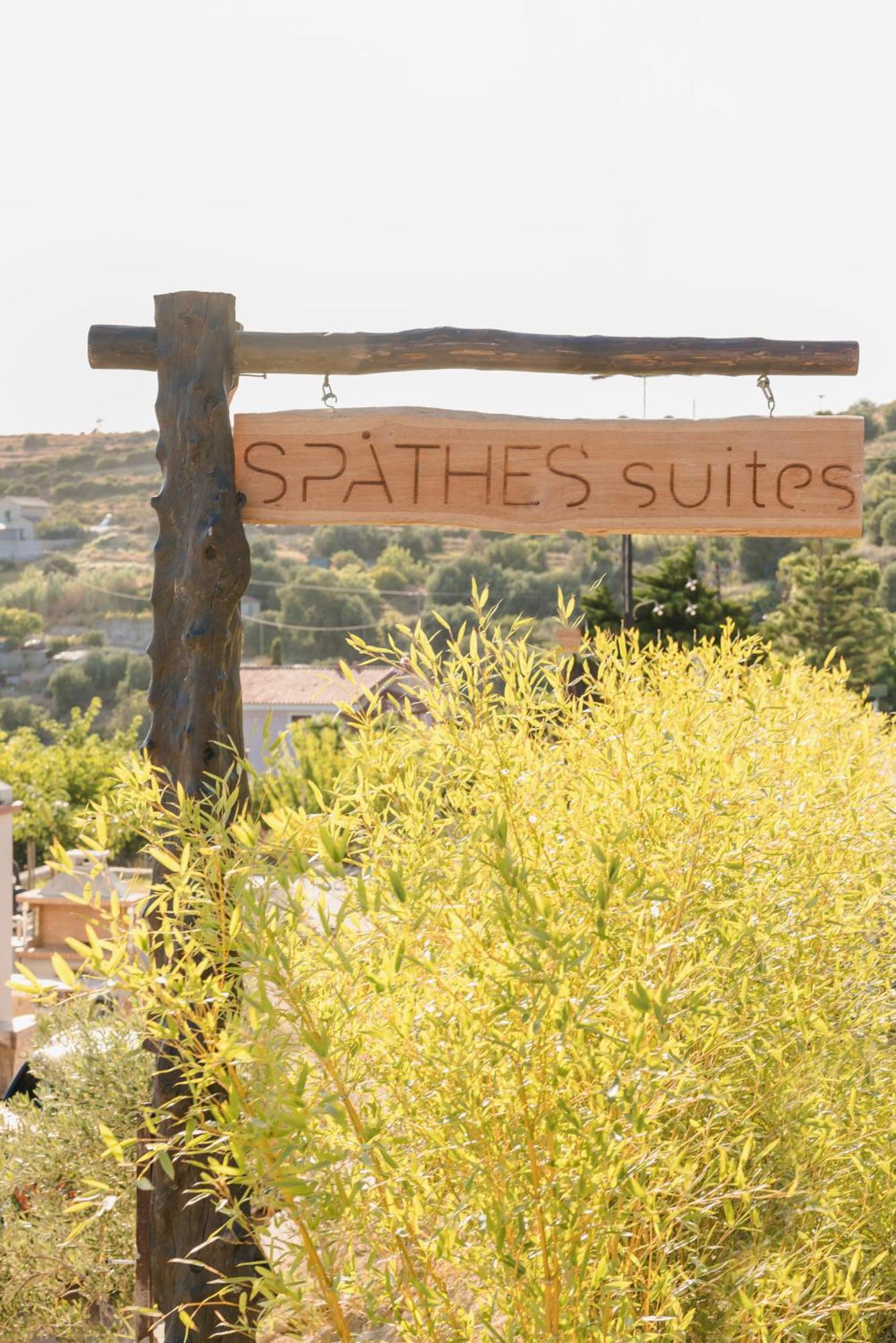 Spathes Suites Kefalonia - Luxury Suites Ratzaklíon Exteriör bild